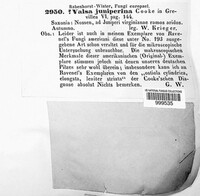 Image Associated With the Occurence